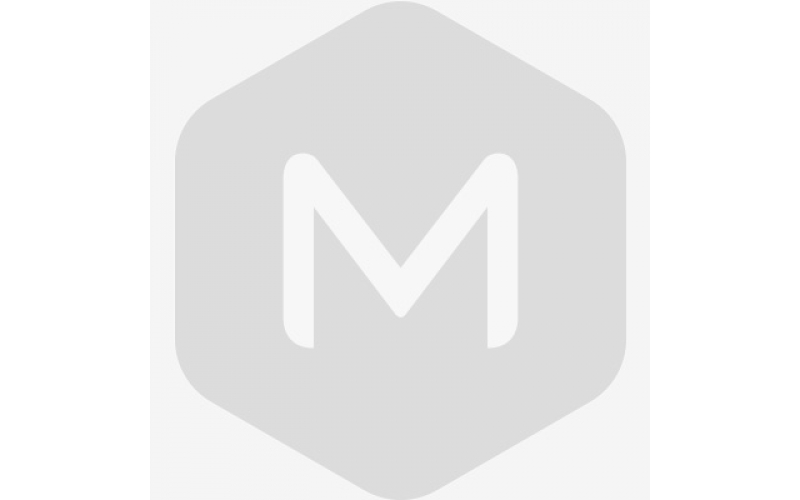 轉發：教育部辦公廳關于實施一流本科專業建設 “雙萬計劃”的通知